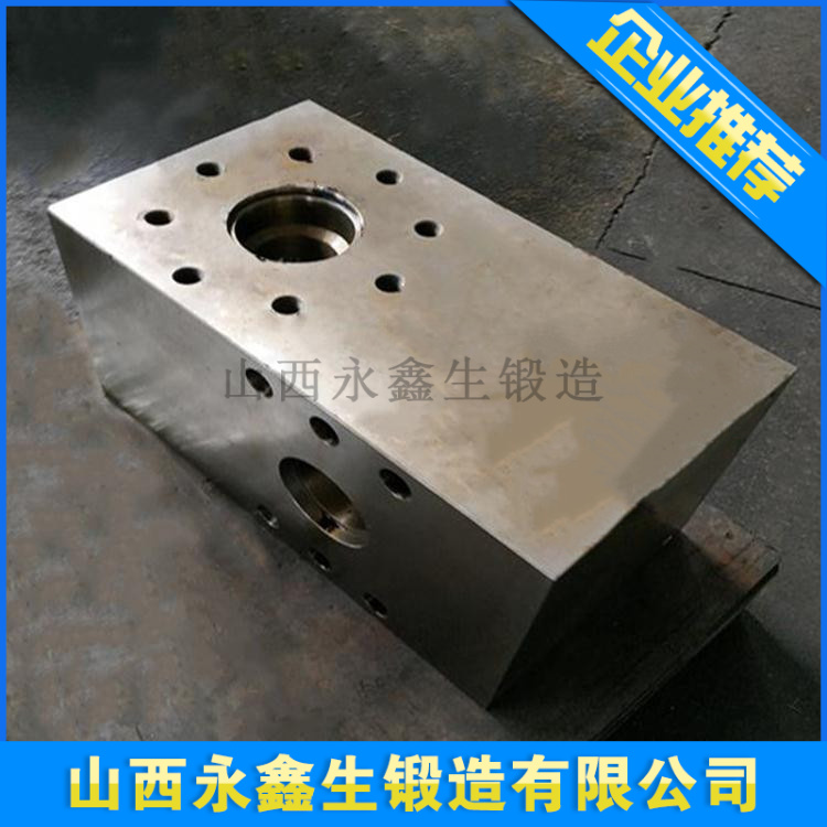 H13模具鍛造件